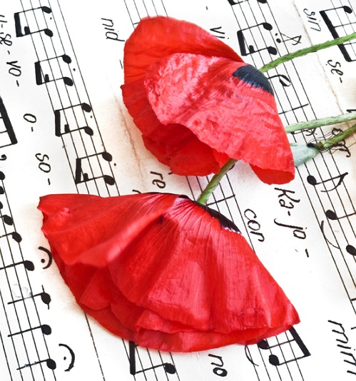 poppy-music