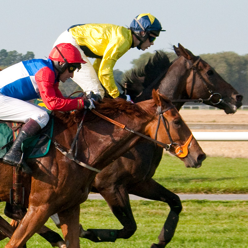 race night