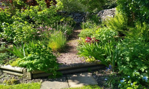 Plant Fayre - LACC Rear Garden