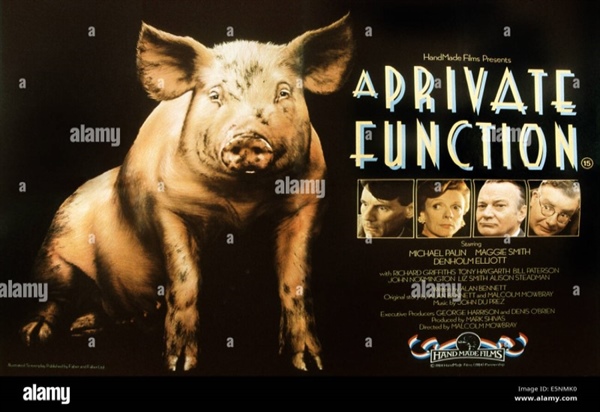 A Private Function (1984) (15)