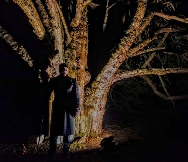 GHOSTLY TALES by DAVID BROWN THE STORYTELLER