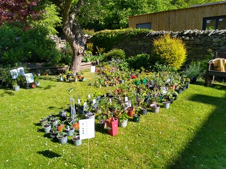 Annual Plant Fayre 8 & 9  May