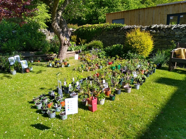 Annual Plant Fayre 8 & 9  May