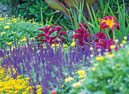 Gardening Group