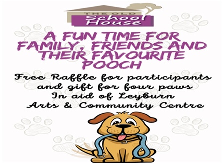 Four Paws and Friends Leyburn...