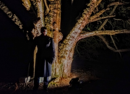 Ghostly Tales by David Brown...